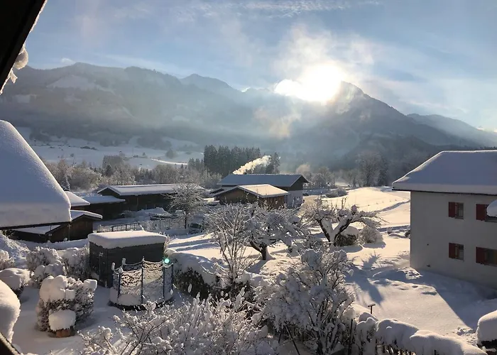 Gaestehaus Aurikel 16 *